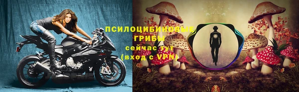 ПСИЛОЦИБИНОВЫЕ ГРИБЫ Алексин