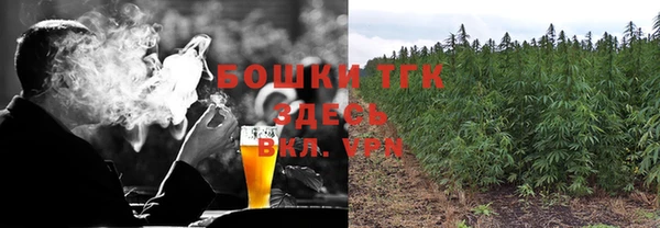 ПСИЛОЦИБИНОВЫЕ ГРИБЫ Алексин